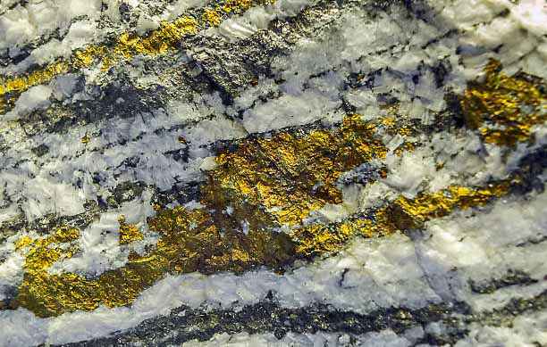 Precious Metals